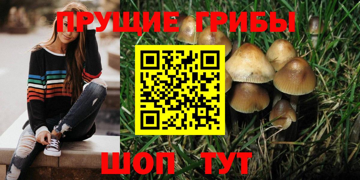 Галлюциногенные грибы Magic Shrooms Сафоново